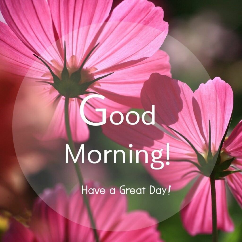 Lovely Good Morning Image