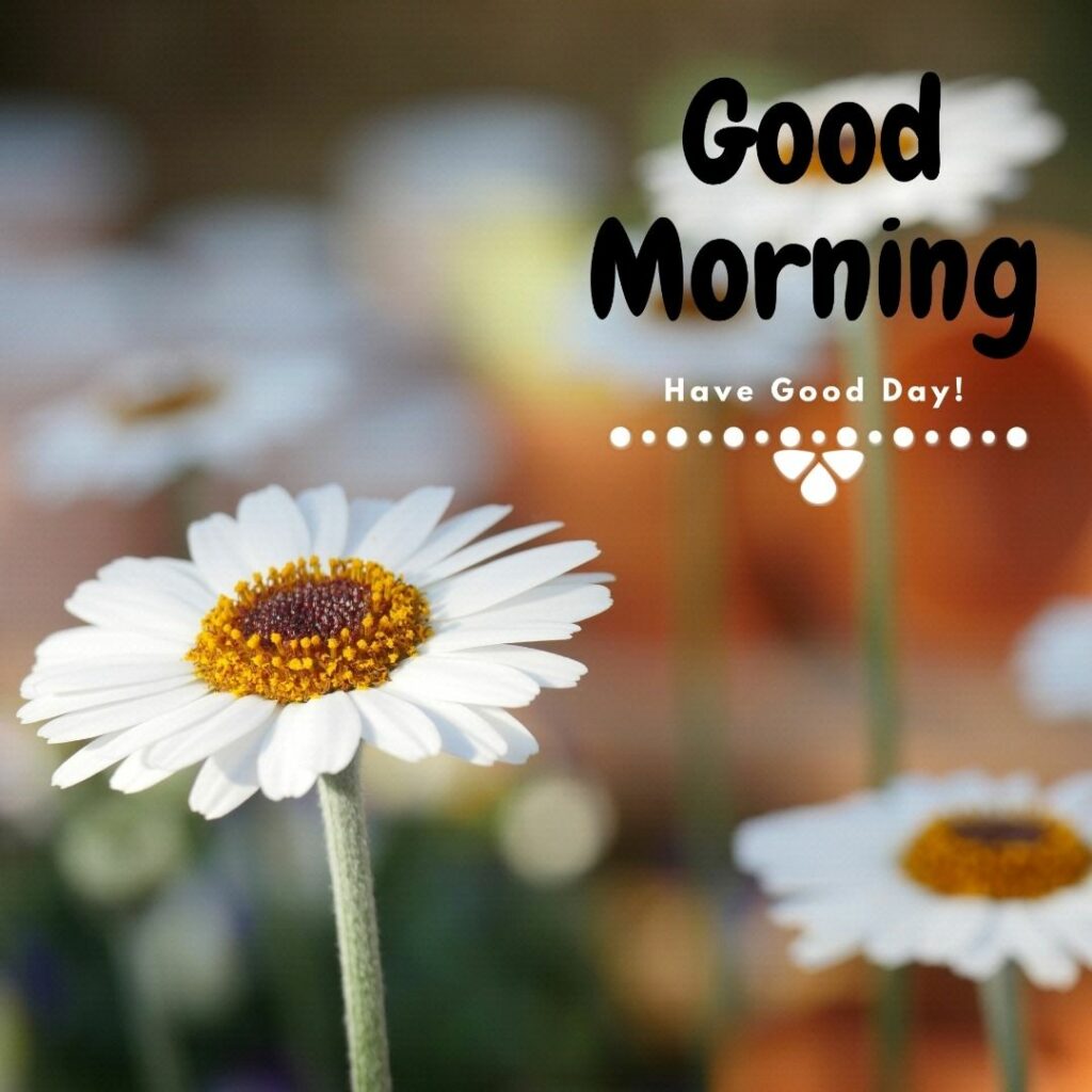 Cute Good Morning Images in HD