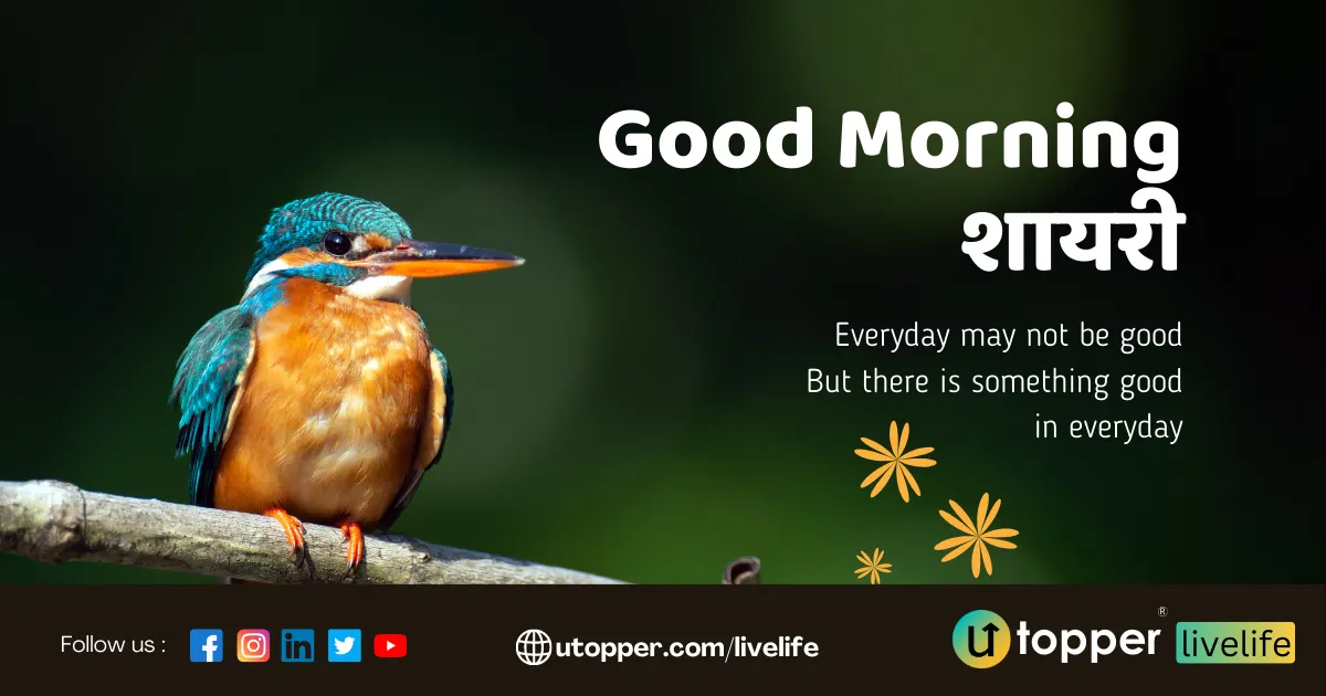 Latest Hindi Good Morning Shayari Image Free Download for whatsapp or  facebook - 2023 Status and Shayari for 2023 WhatsApp and Facebook