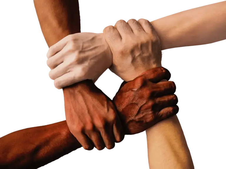 Essay on Unity in Diversity