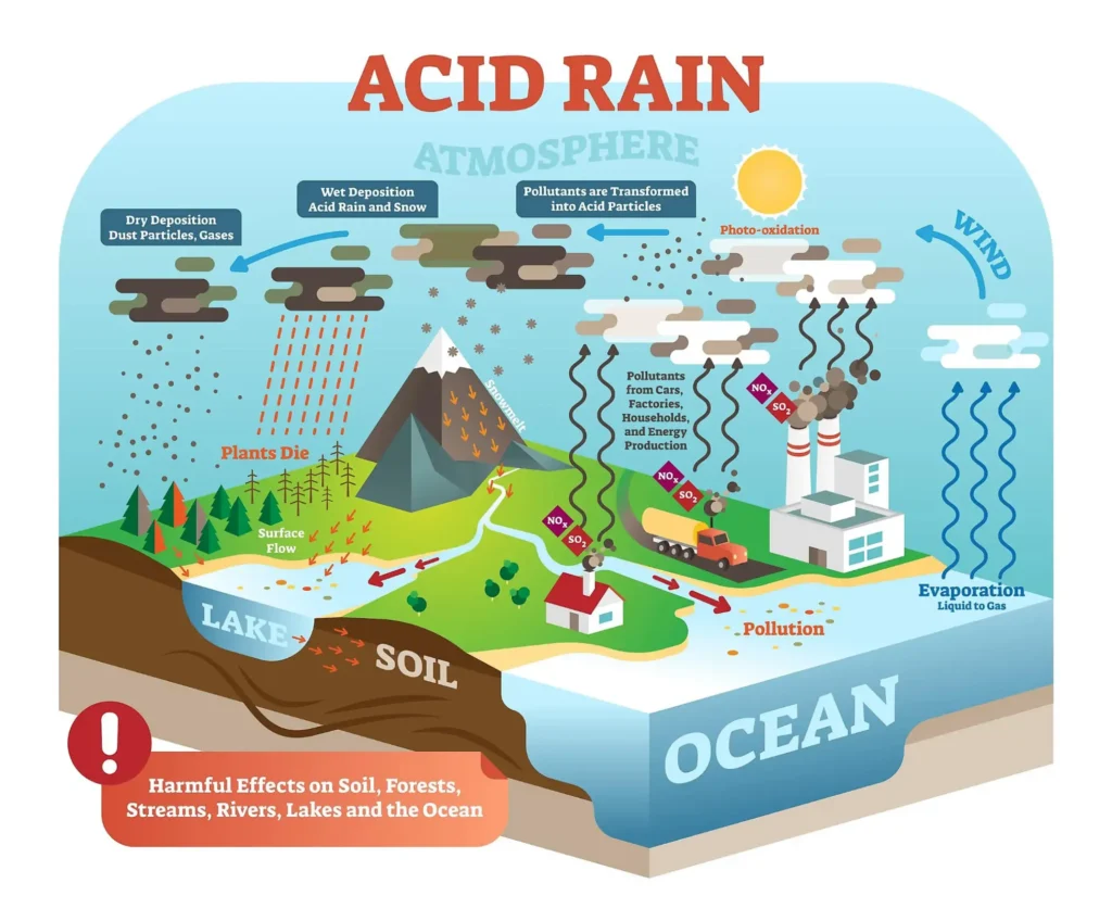 Acid Rain causes