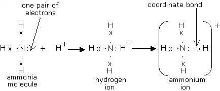 Formation of Ammonium Ion
