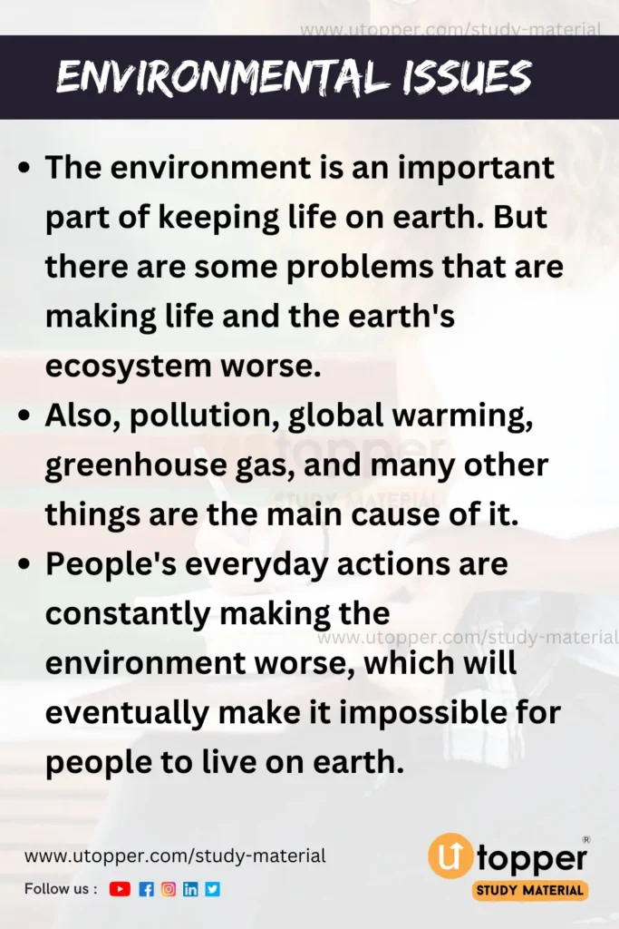 Essay on Environmental Issues