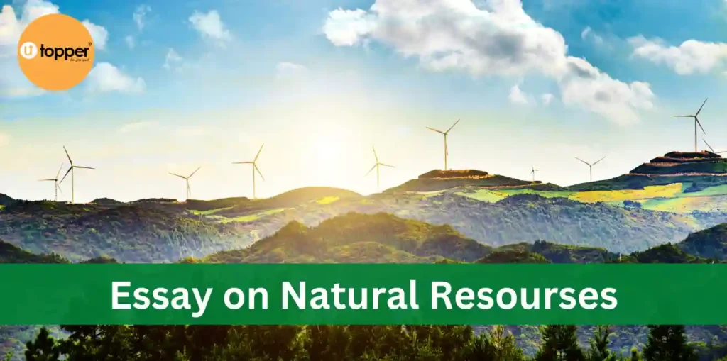 Essay on Natural Resources
