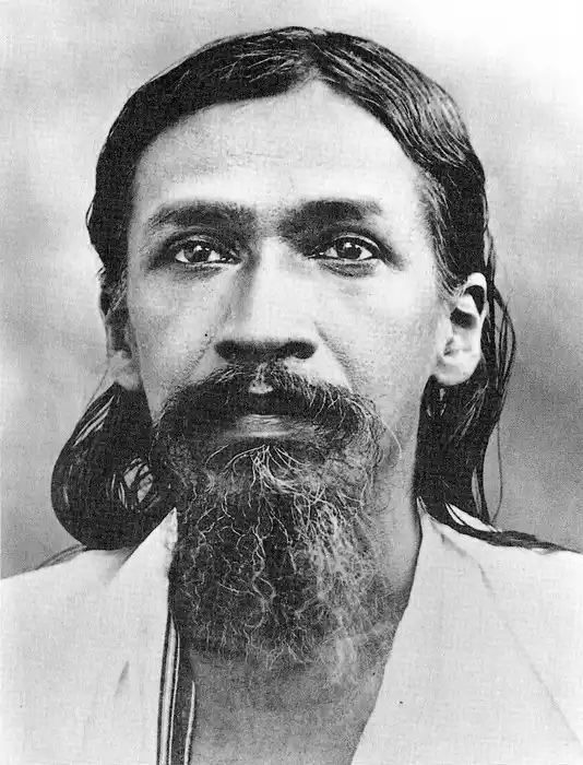 Essay on Sri Aurobindo