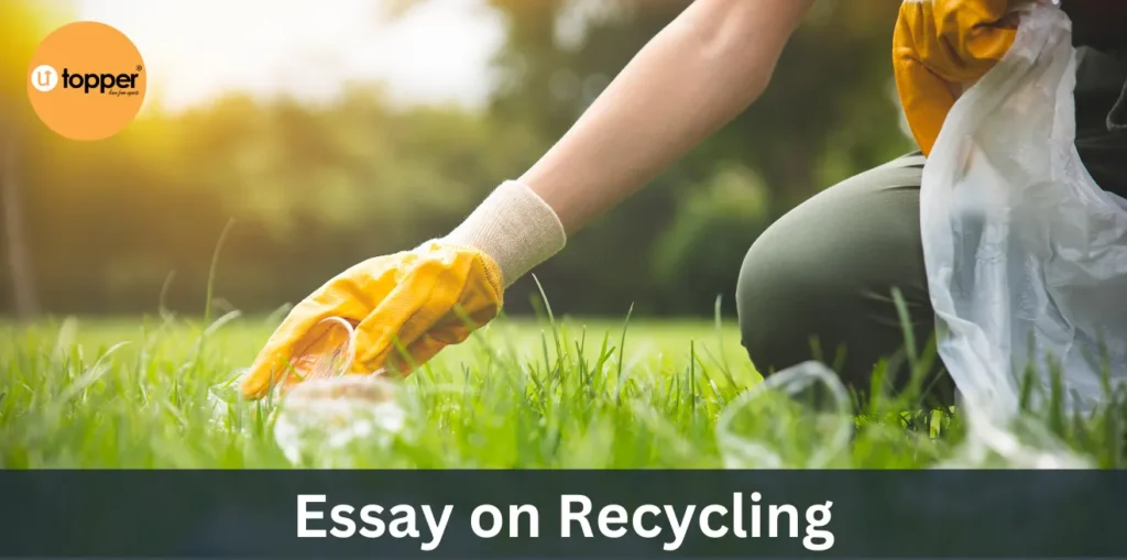 Essay on Recycling